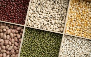 鄭州干果及農副產品批發市場指南——世界工廠網助您精準對接